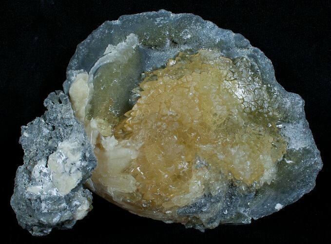 Calcite Crystal Filled Clam Fossil #6047